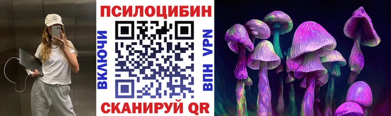 Галлюциногенные грибы Psilocybe  как найти закладки  Болхов 