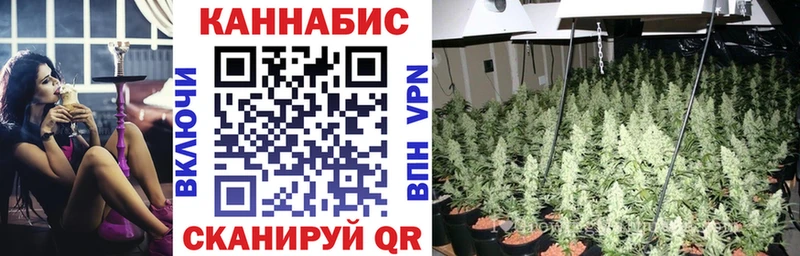 как найти закладки  Болхов  блэк спрут ссылка  Бошки Шишки THC 21% 